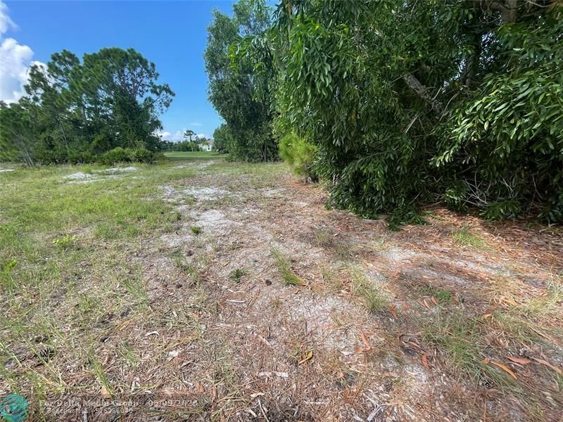 4513 NW 34th Place, Cape Coral, FL 33993 Photo