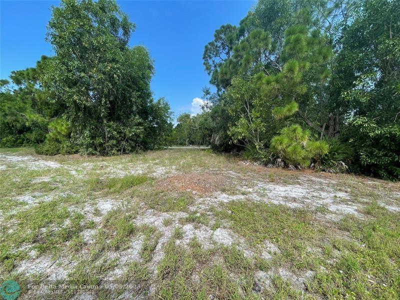 4513 NW 34th Place, Cape Coral, FL 33993 Photo