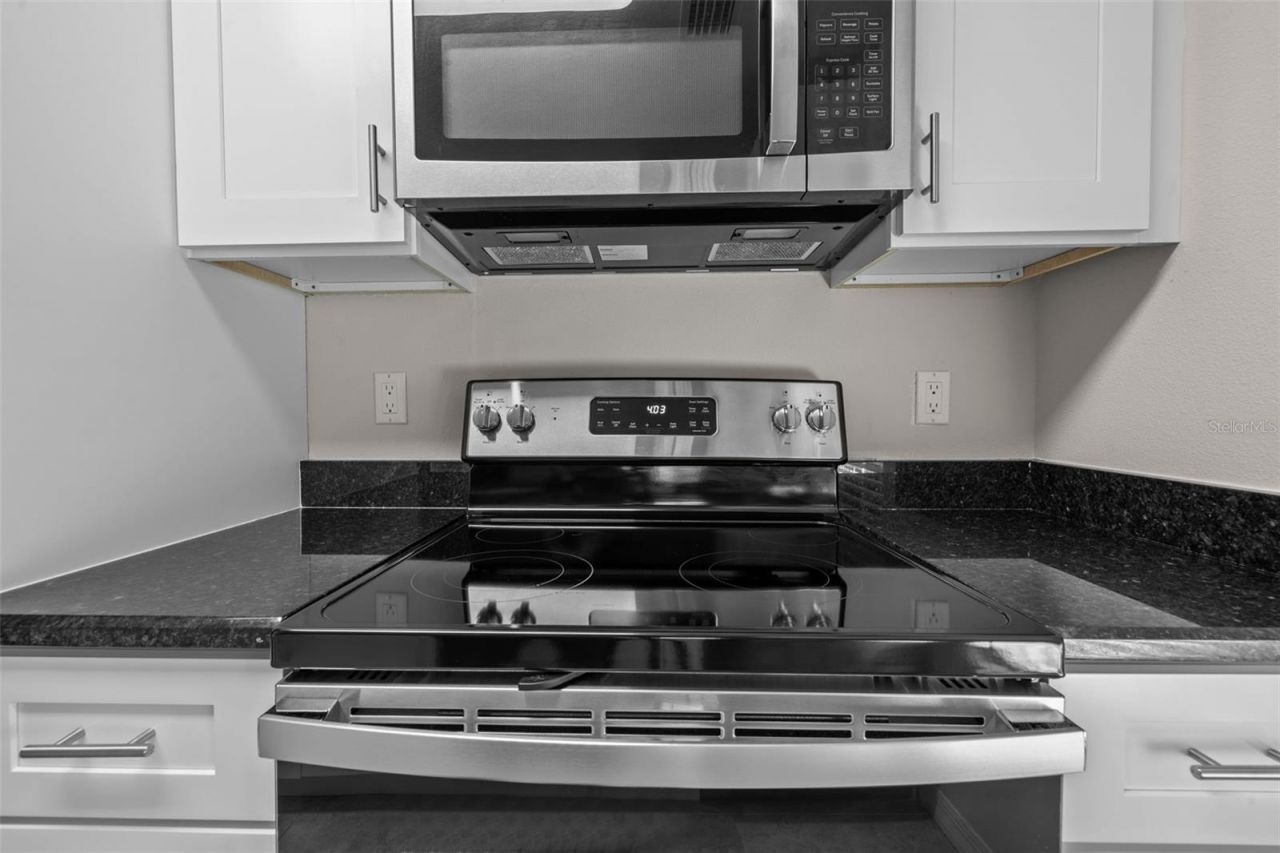 9100 Dr Martin Luther King Jr Street N, Unit 1002, Saint Petersburg, FL 33702 Photo