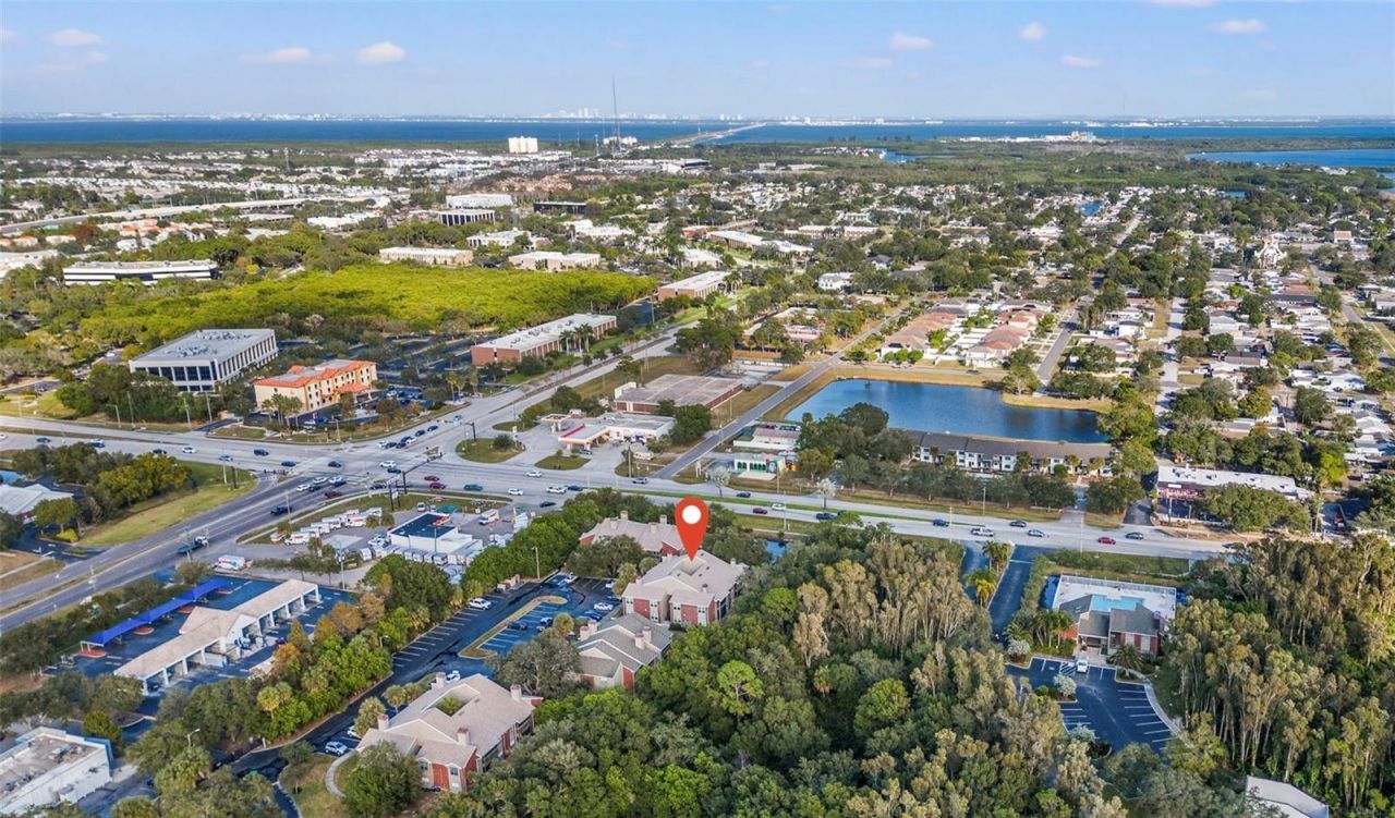 9100 Dr Martin Luther King Jr Street N, Unit 1002, Saint Petersburg, FL 33702 Photo