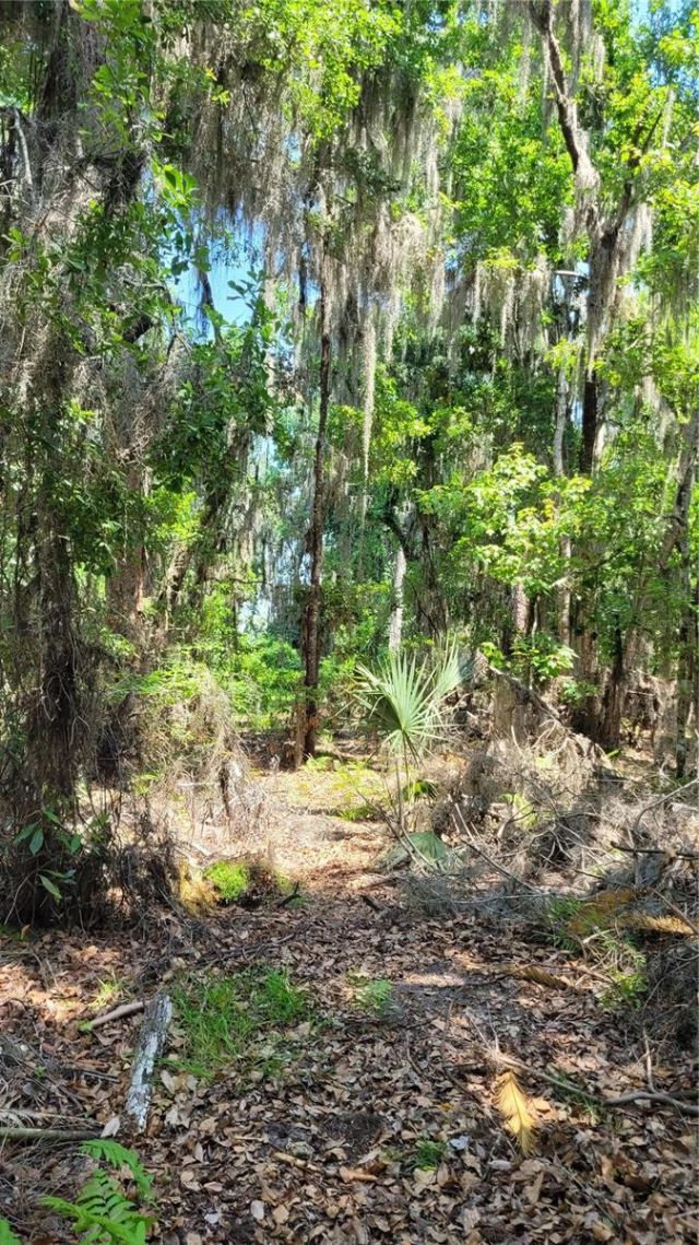 21779 NE 115th Avenue, Earleton, FL 32631 Photo