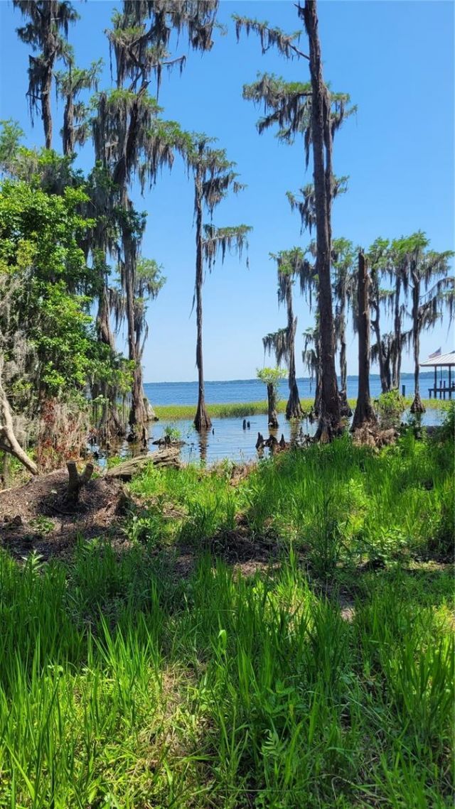 21779 NE 115th Avenue, Earleton, FL 32631 Photo