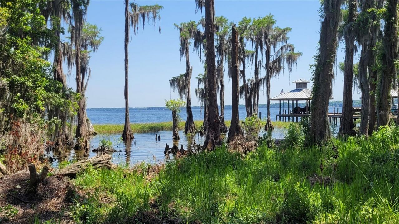 21779 NE 115th Avenue, Earleton, FL 32631 Photo