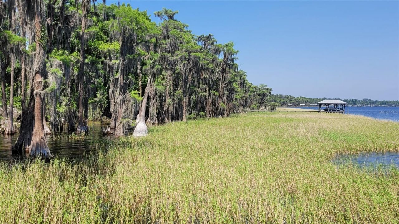 21779 NE 115th Avenue, Earleton, FL 32631 Photo