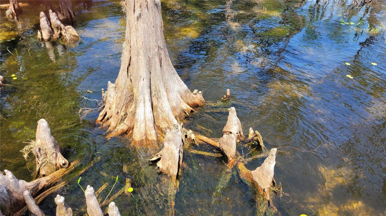 21779 NE 115th Avenue, Earleton, FL 32631 Photo