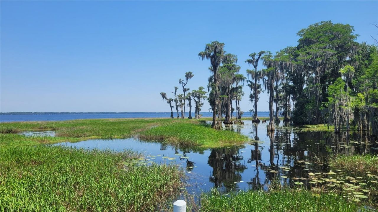 21779 NE 115th Avenue, Earleton, FL 32631 Photo