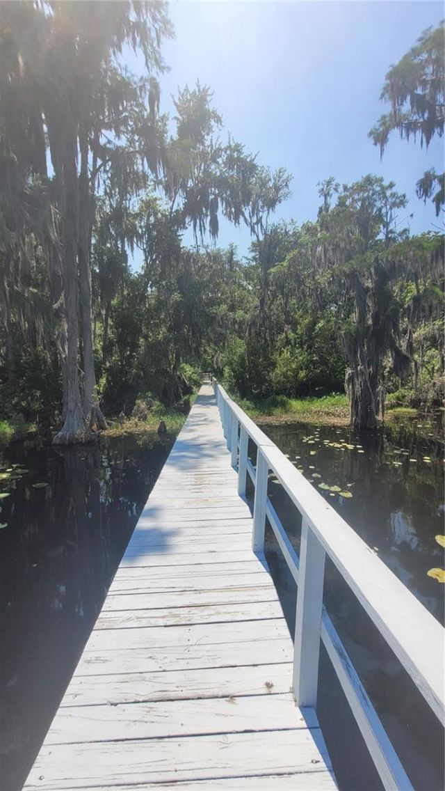 21779 NE 115th Avenue, Earleton, FL 32631 Photo