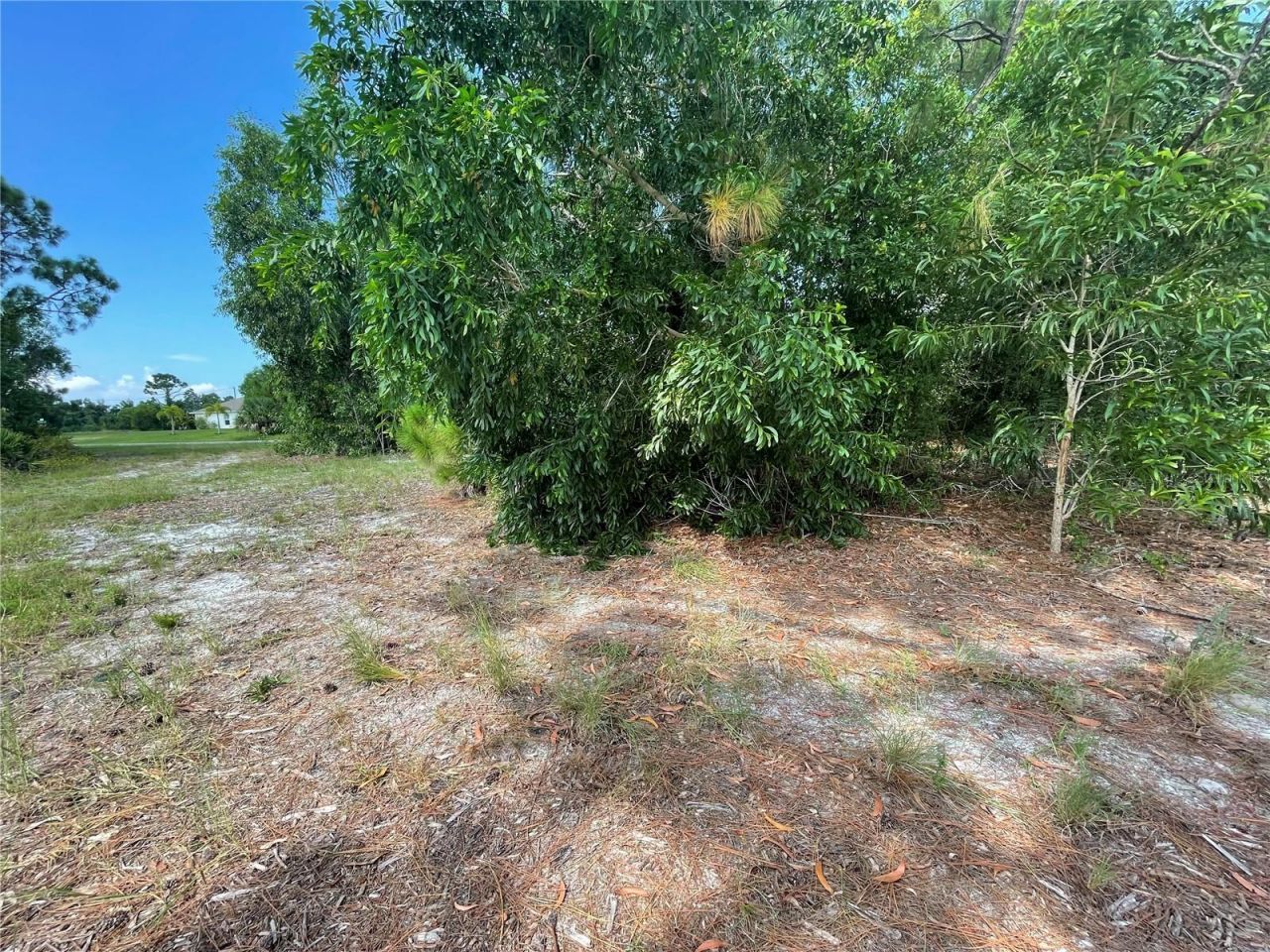 4513 NW 34th Place, Cape Coral, FL 33993 Photo