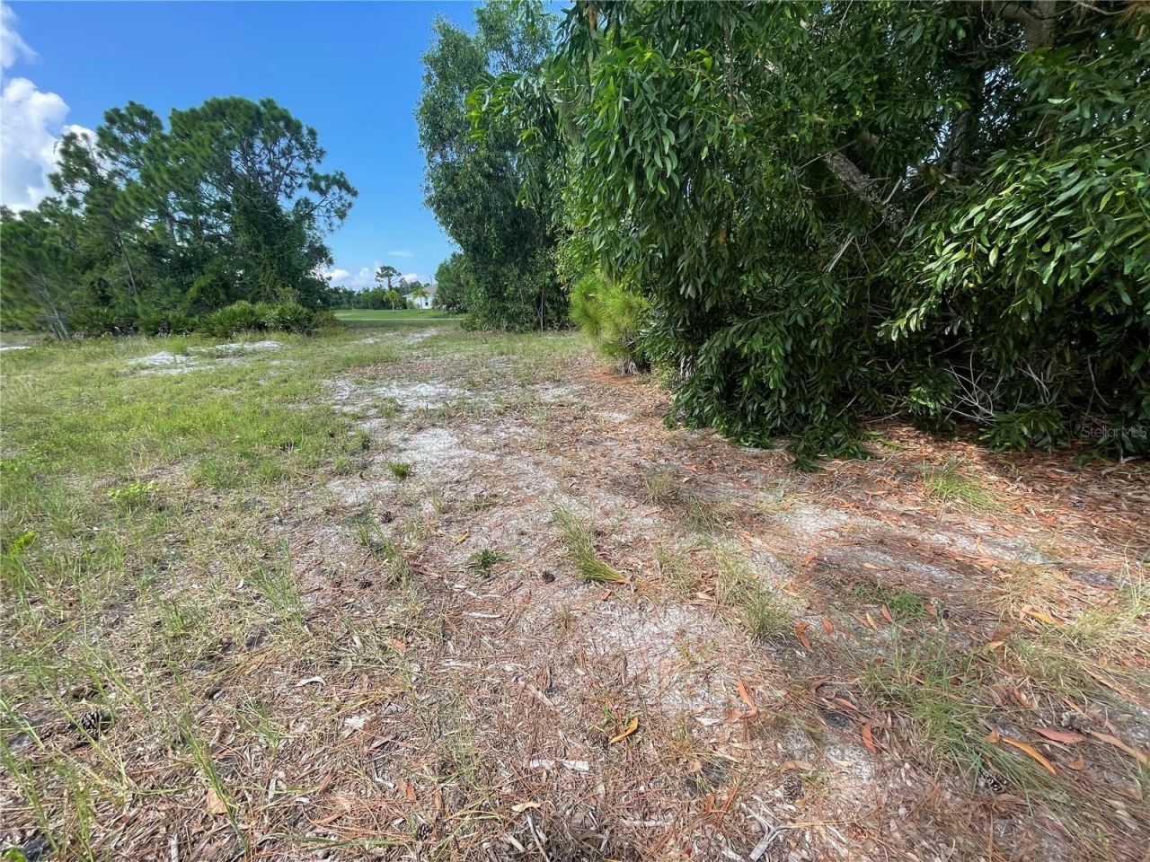 4513 NW 34th Place, Cape Coral, FL 33993 Photo