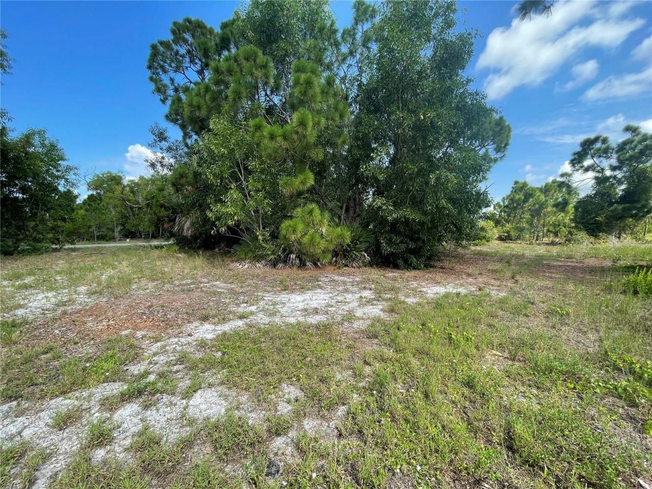 4513 NW 34th Place, Cape Coral, FL 33993 Photo