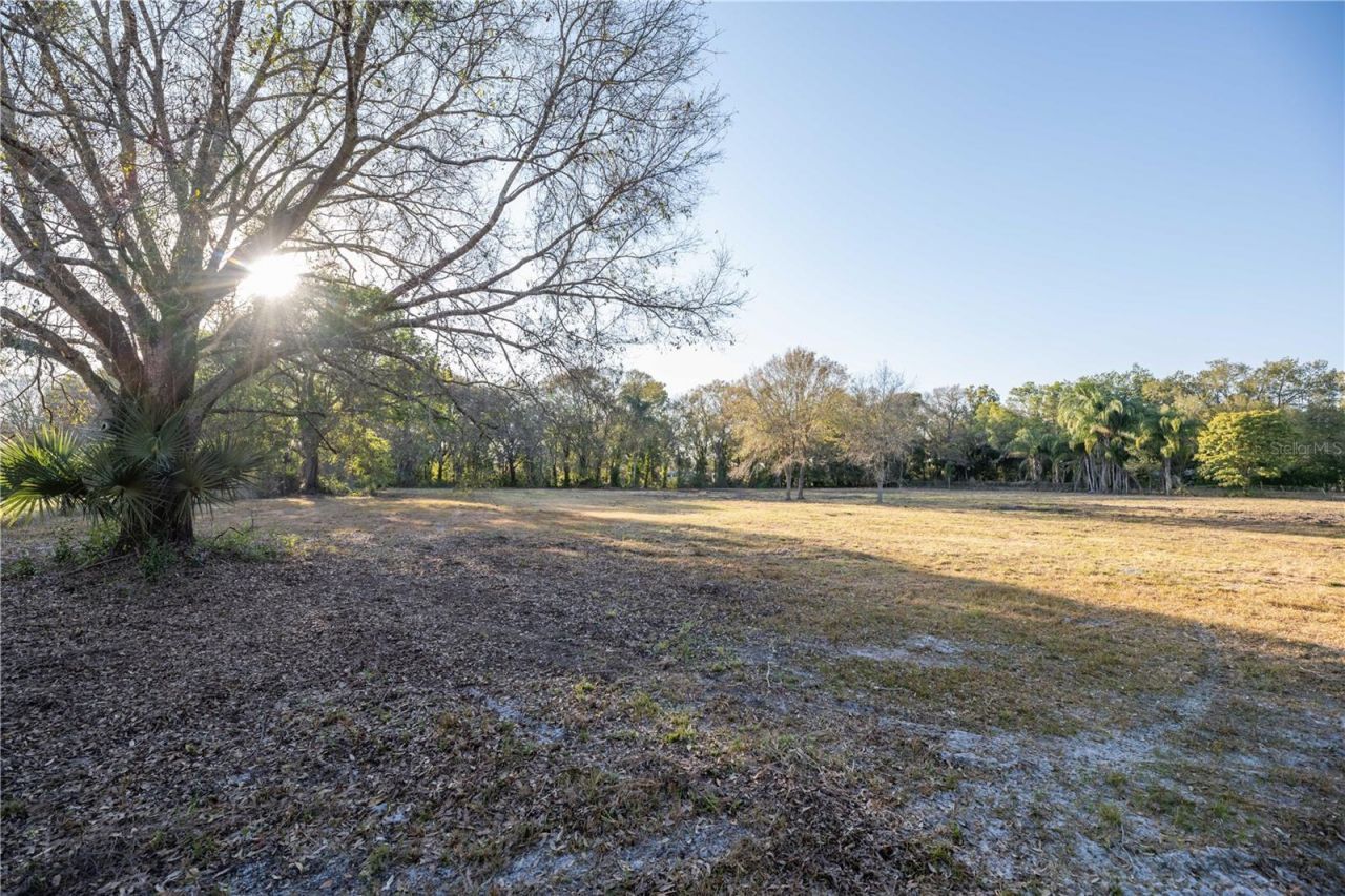 1206 Fisher Lane, Brandon, FL 33510 Photo