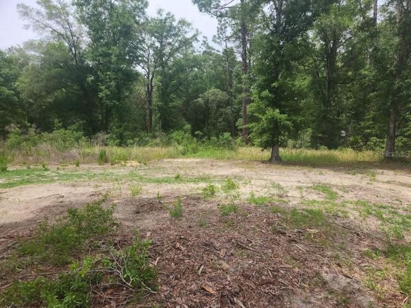 Lot 10 SW 134 TERRACE, OCALA, FL 34481