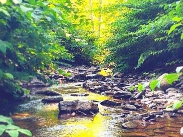 0 Wachter Blvd, Durham, NY 12423