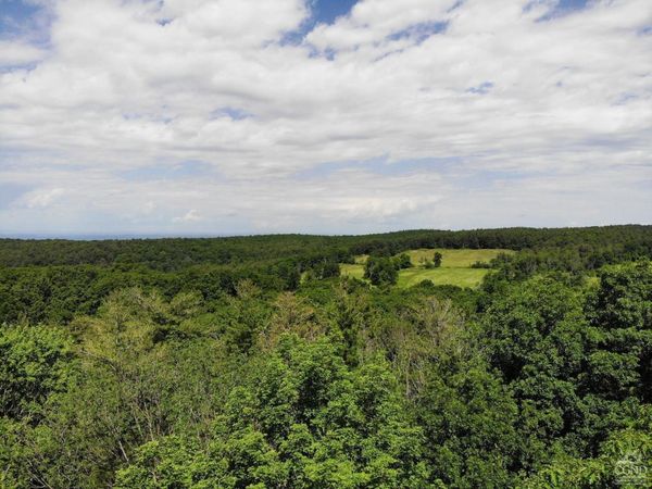 0 Reed Road, Austerlitz, NY 12017