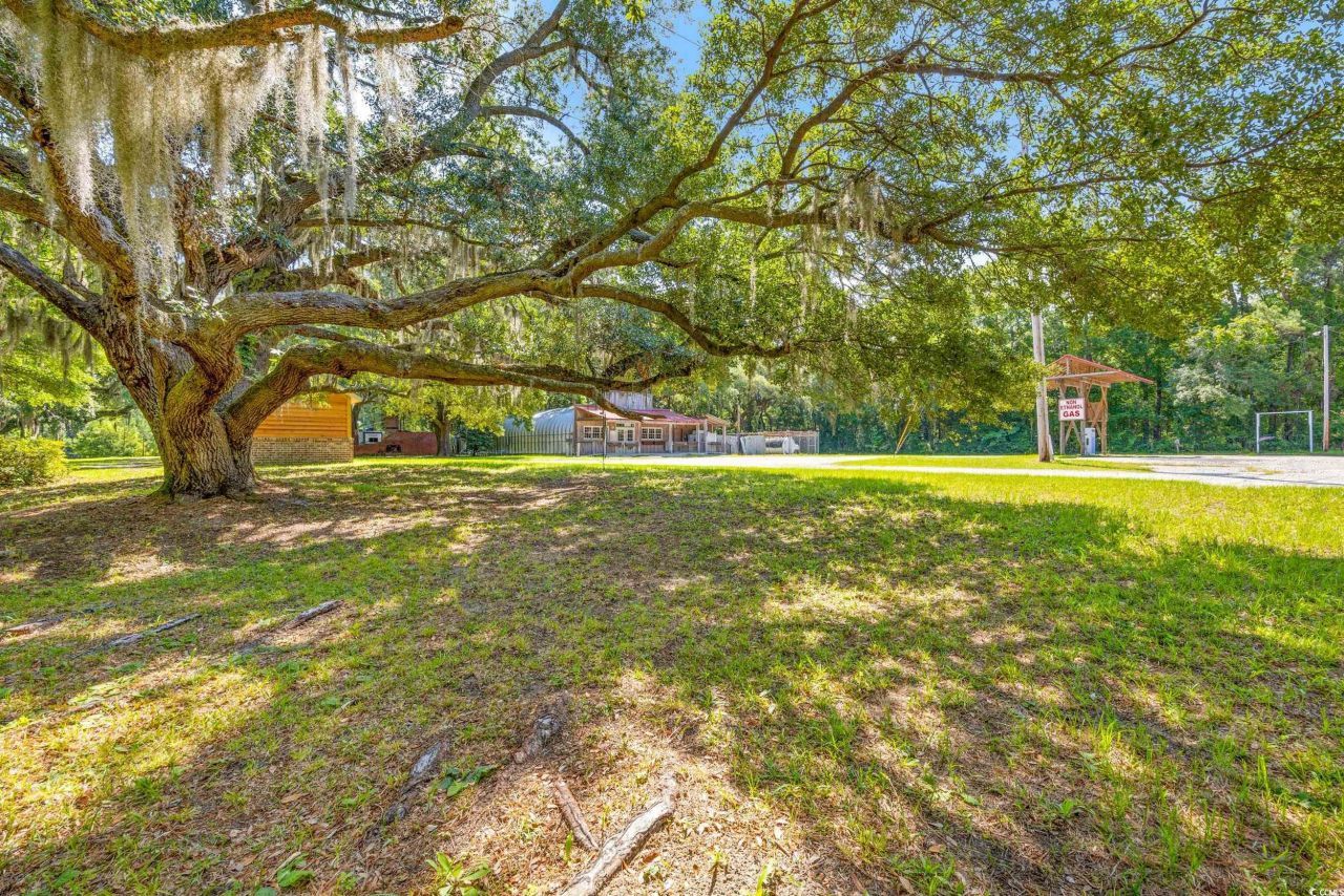 7113 South Island Rd. Photo 8