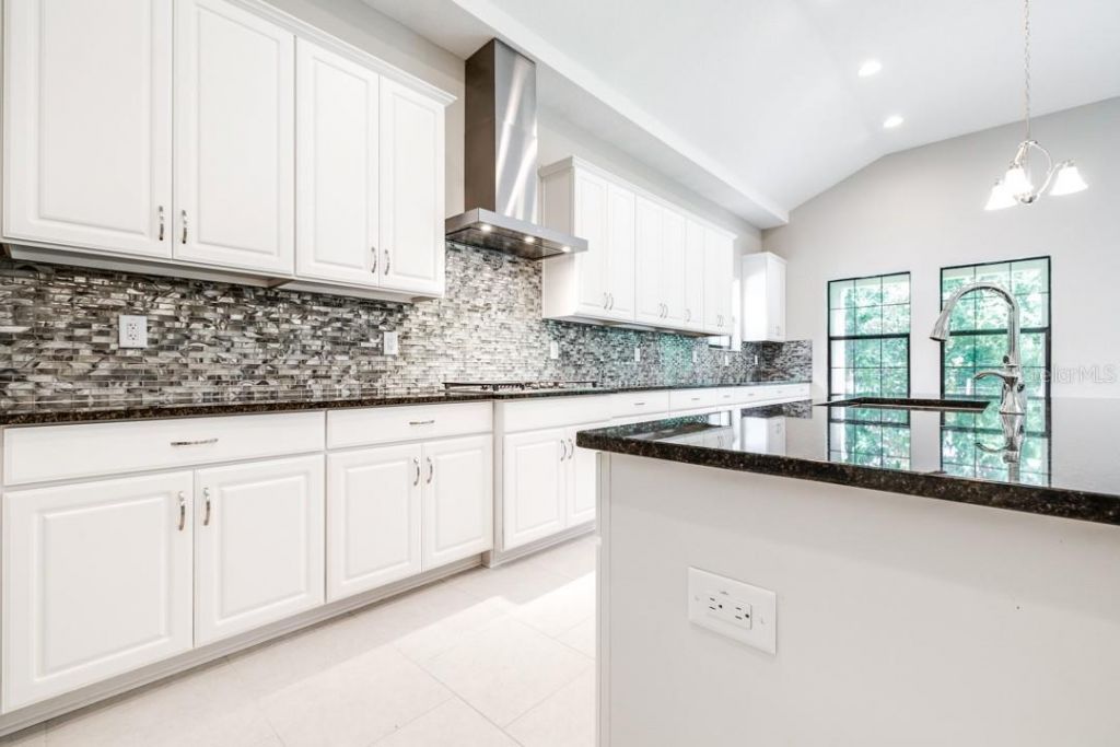 21807 Amelia Rose Way, Land O Lakes, FL 34637 Photo