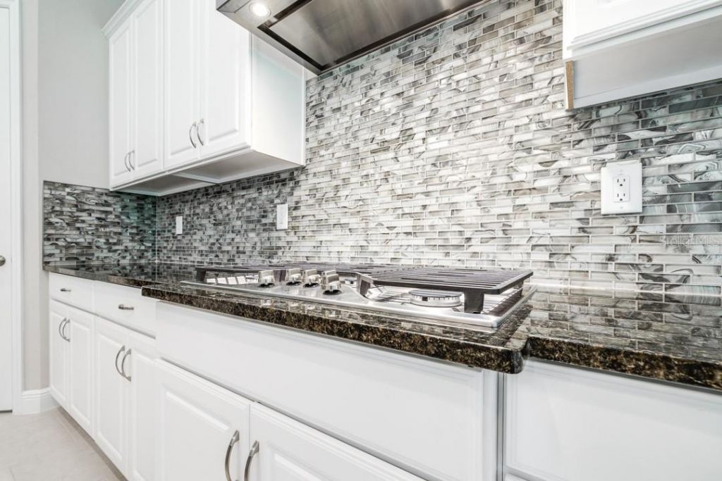 21807 Amelia Rose Way, Land O Lakes, FL 34637 Photo