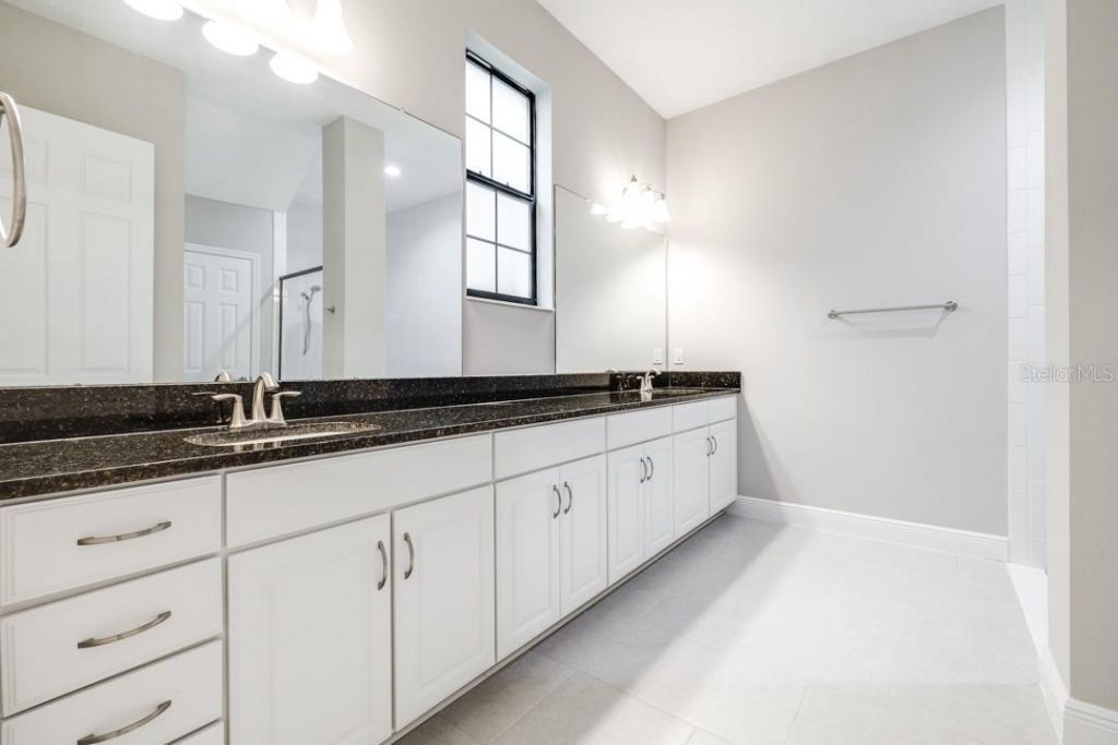 21807 Amelia Rose Way, Land O Lakes, FL 34637 Photo