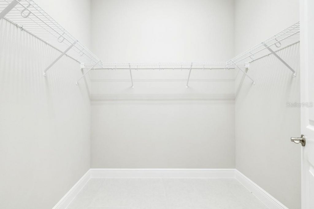 21807 Amelia Rose Way, Land O Lakes, FL 34637 Photo