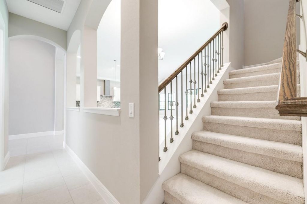 21807 Amelia Rose Way, Land O Lakes, FL 34637 Photo