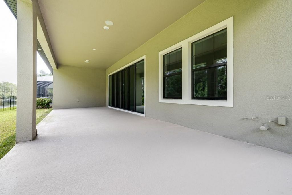 21807 Amelia Rose Way, Land O Lakes, FL 34637 Photo