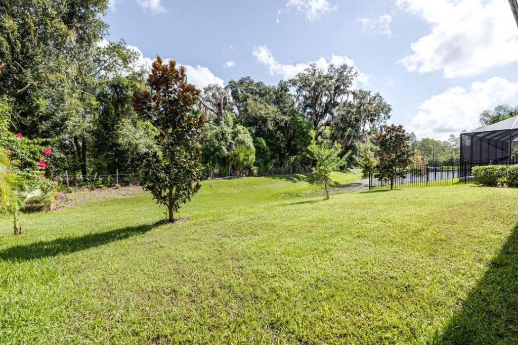 21807 Amelia Rose Way, Land O Lakes, FL 34637 Photo
