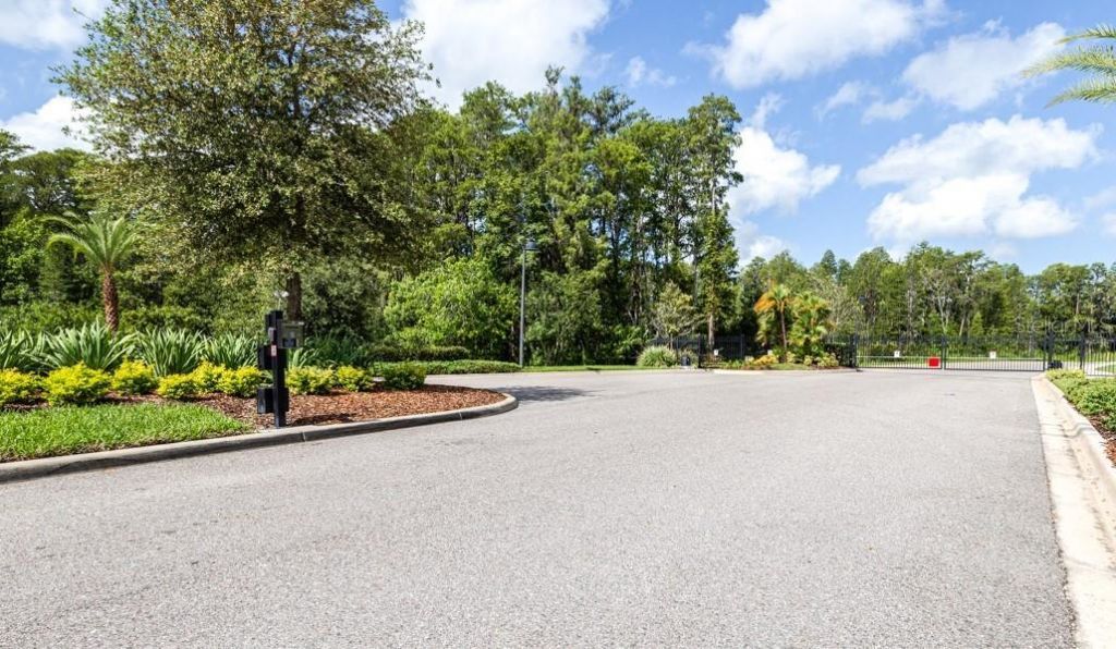 21807 Amelia Rose Way, Land O Lakes, FL 34637 Photo