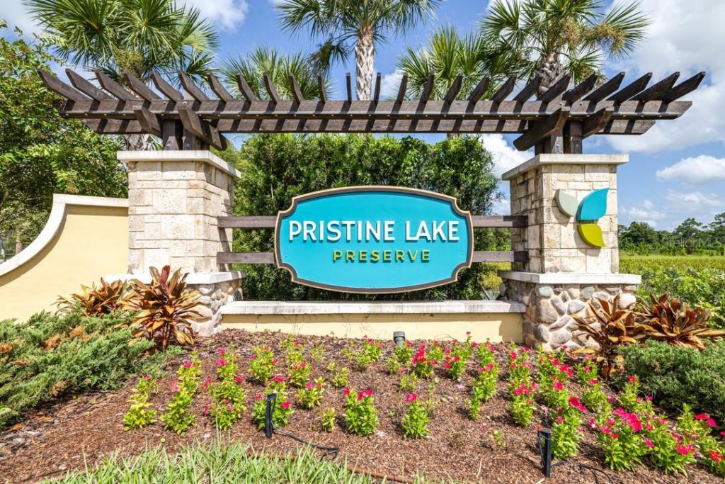 21807 Amelia Rose Way, Land O Lakes, FL 34637 Photo