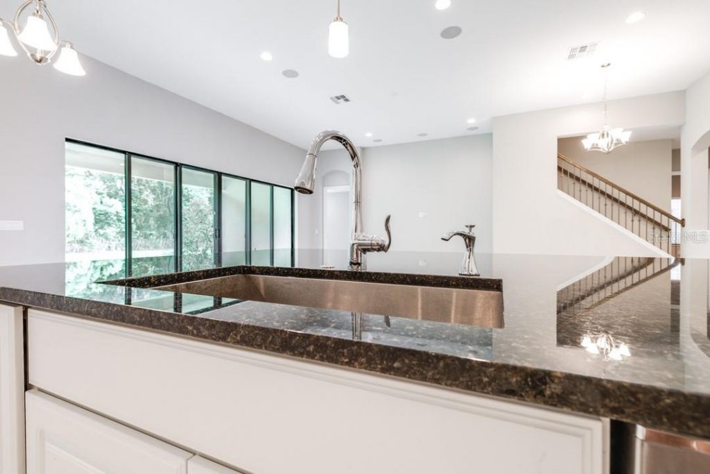 21807 Amelia Rose Way, Land O Lakes, FL 34637 Photo