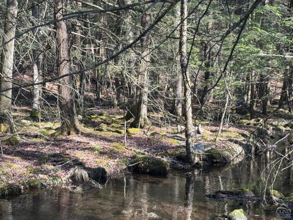 46 Pine Grove Rd, Kerhonkson, NY 12446