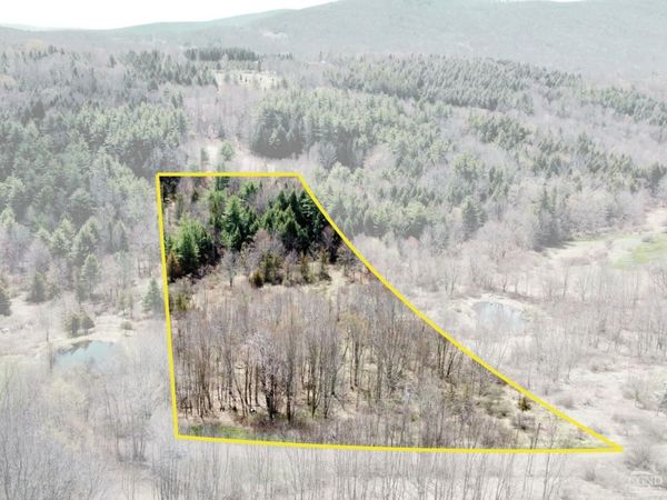 0 Charles Dent, Roxbury, NY 12434