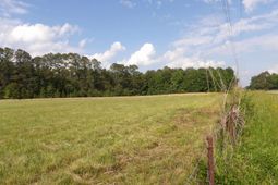 0 Mccormick Highway photo 4