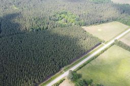 0 Mccormick Highway photo 4