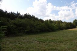 0 Mccormick Highway photo 4