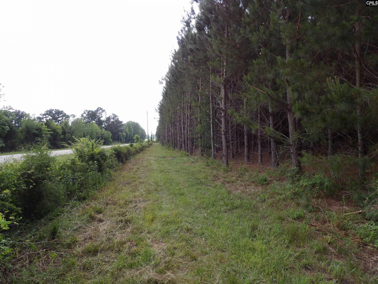 0 Mccormick Highway Photo 6