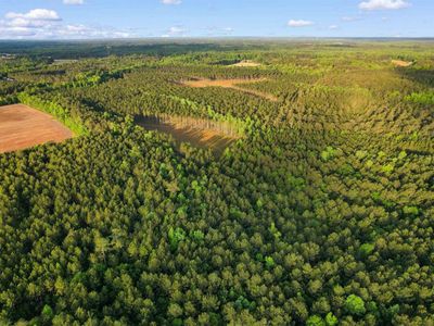 TBD Dows Rd., Loris, SC 29569