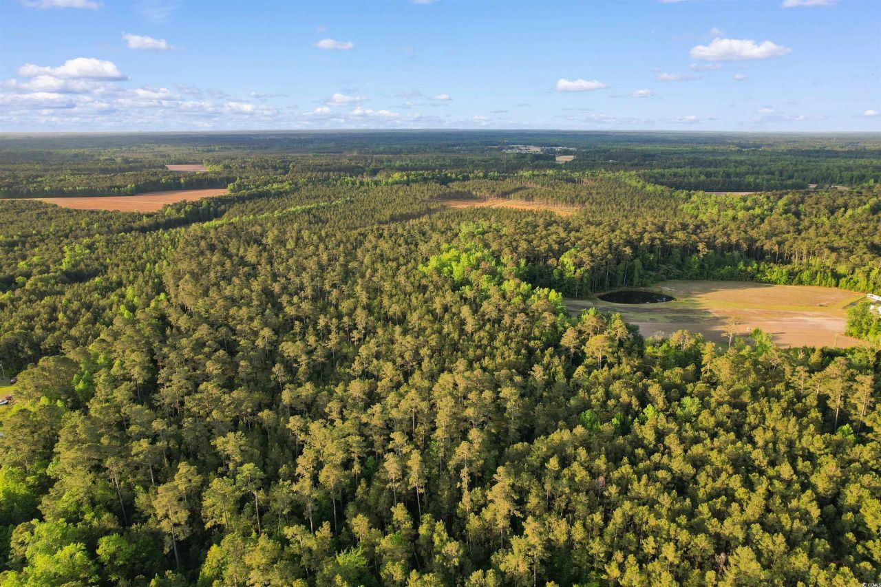 Tbd Dows Rd. Photo 10