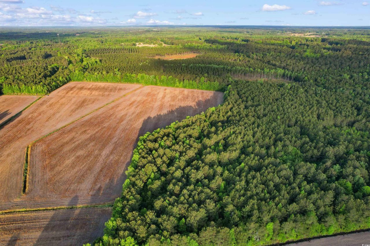 Tbd Dows Rd. Photo 11