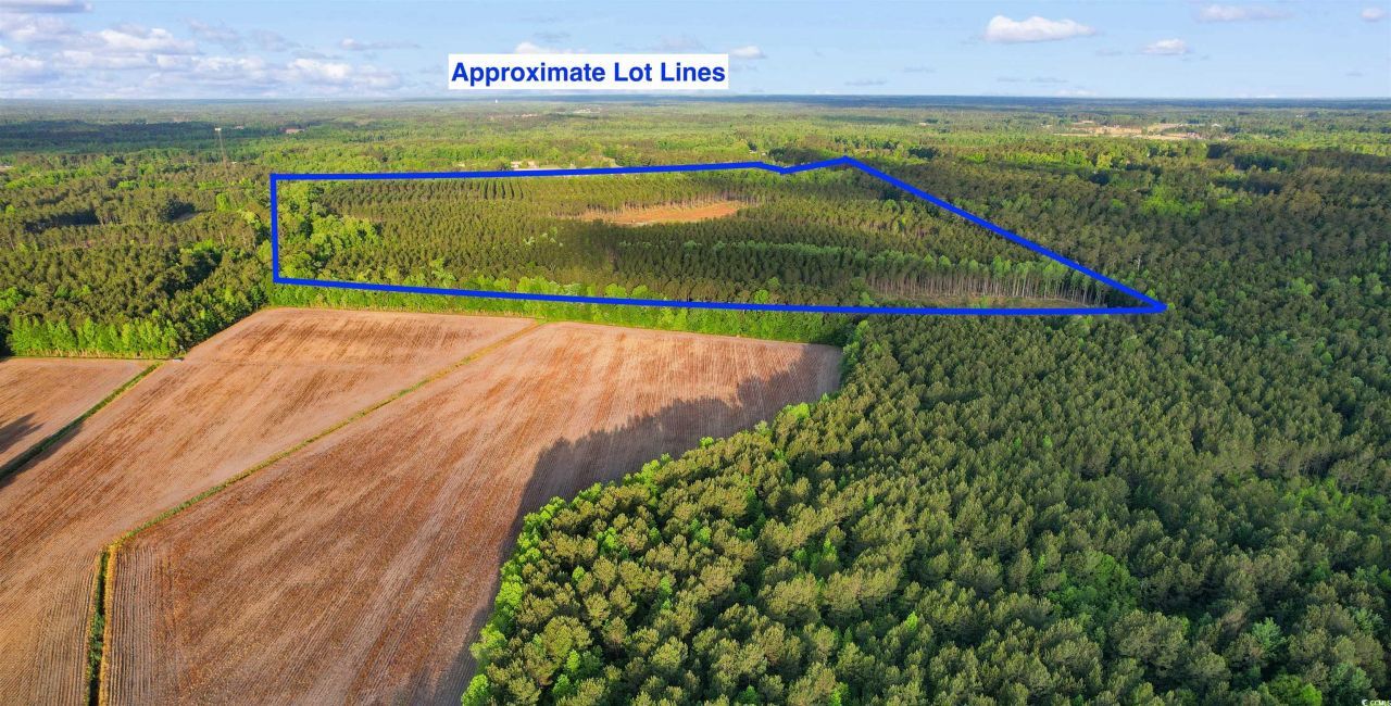 Tbd Dows Rd. Photo 12