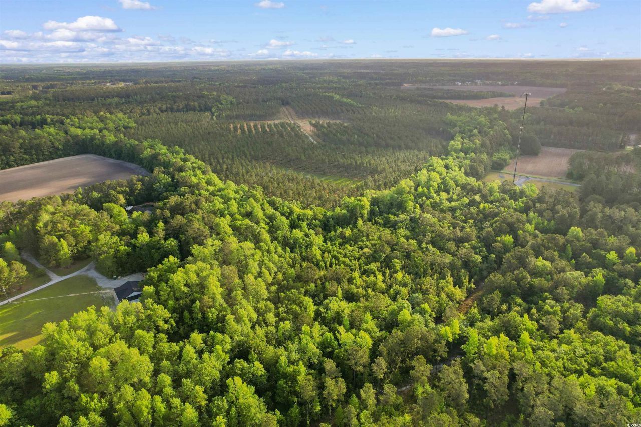 Tbd Dows Rd. Photo 13