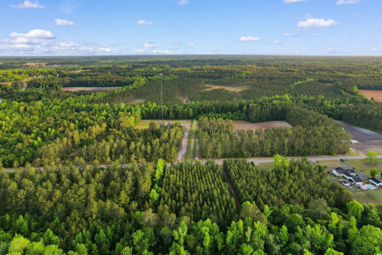 Tbd Dows Rd. Photo 14