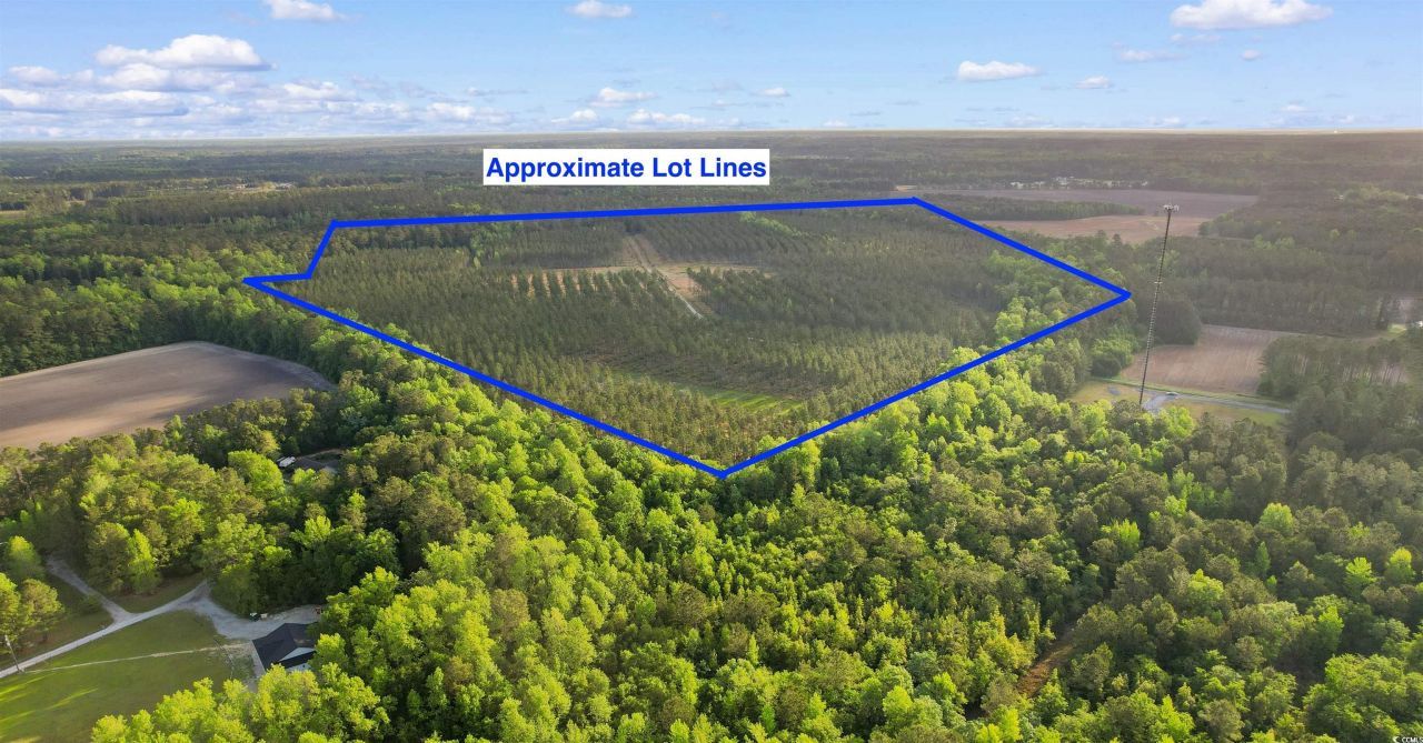 Tbd Dows Rd. Photo 16