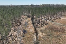 Tbd Dows Rd. photo 4