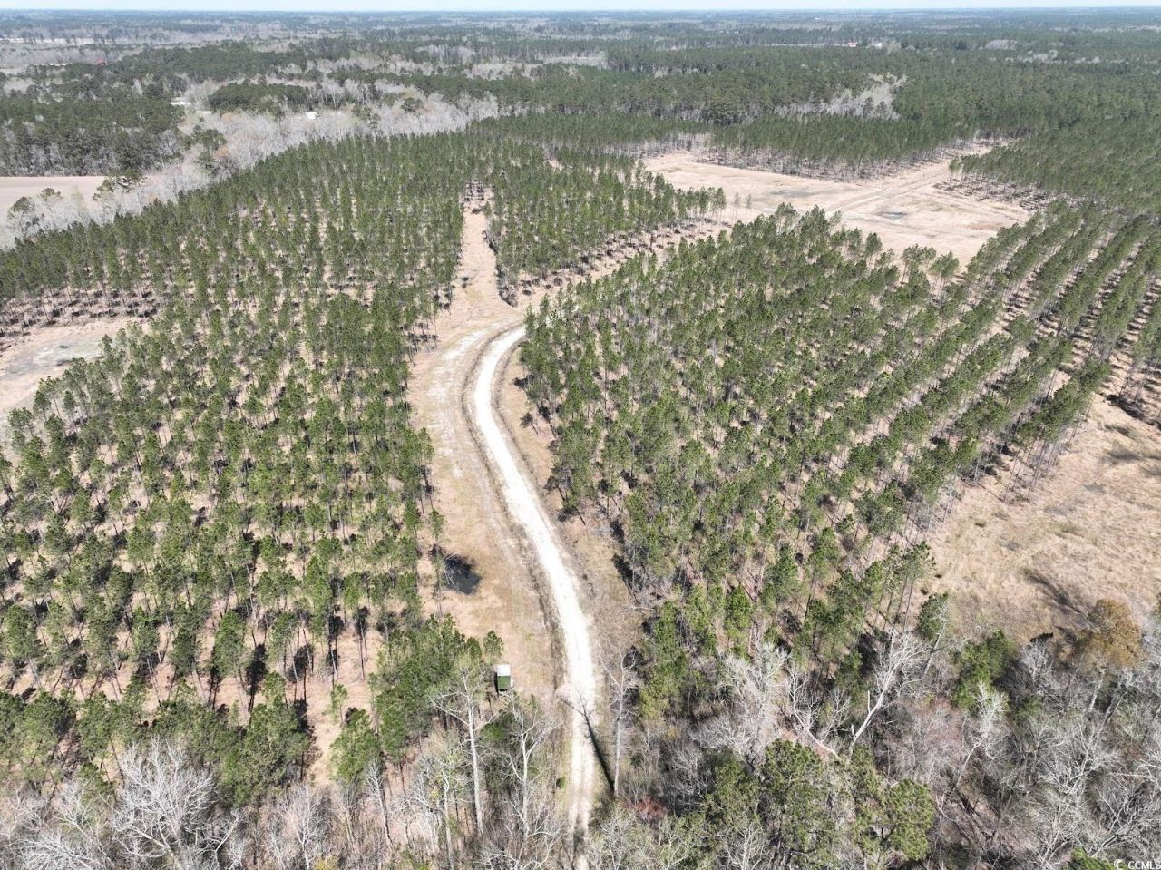 Tbd Dows Rd. Photo 20