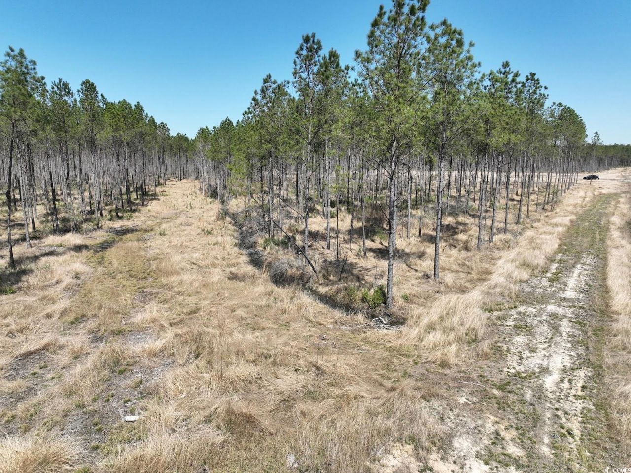 Tbd Dows Rd. Photo 4