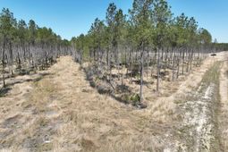 Tbd Dows Rd. photo 4