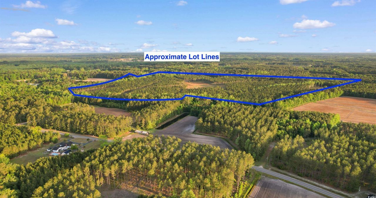 Tbd Dows Rd. Photo 5