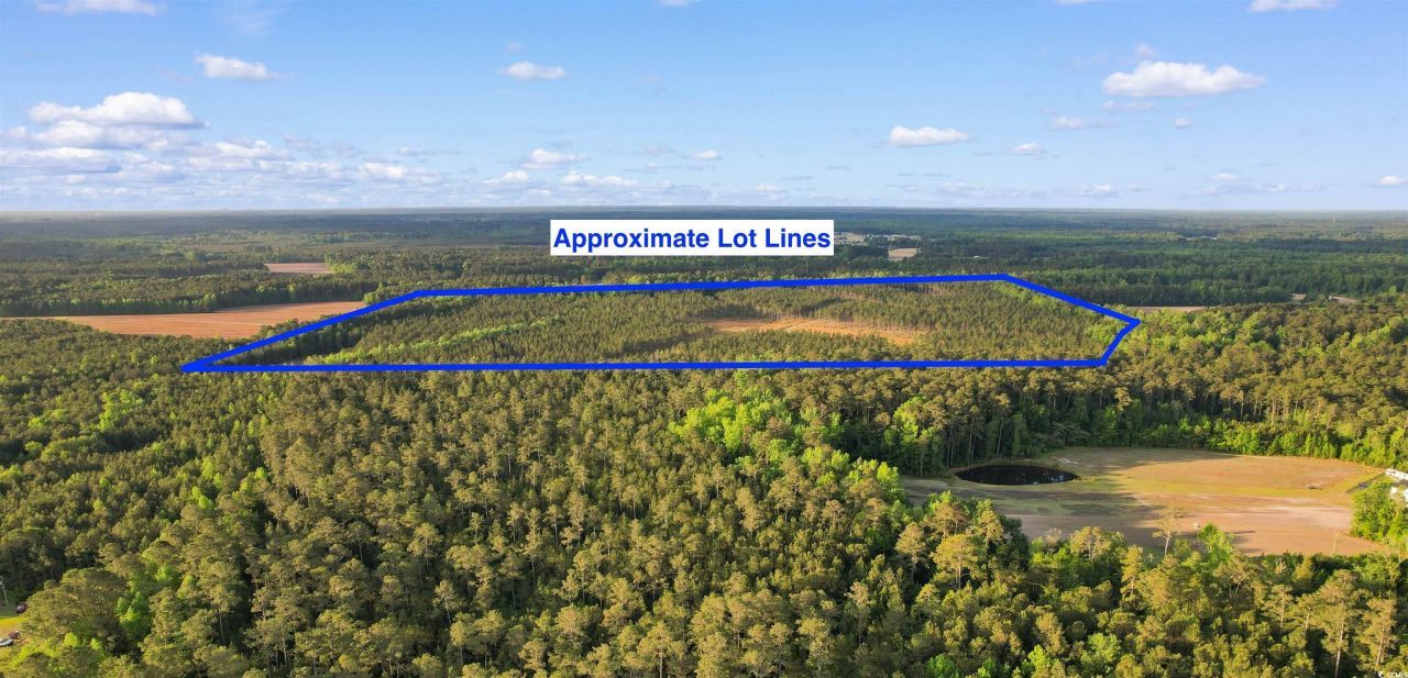 Tbd Dows Rd. Photo 6