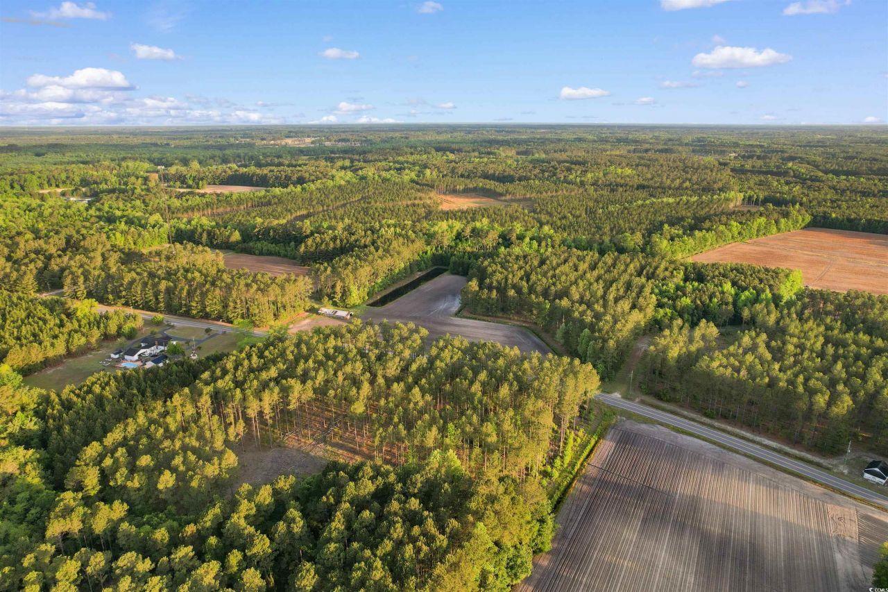 Tbd Dows Rd. Photo 8