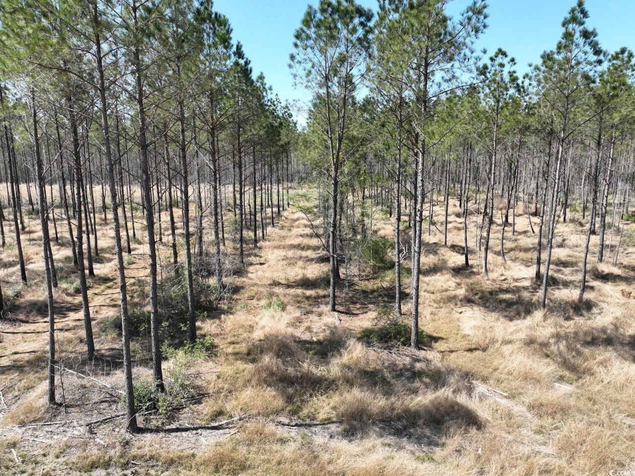 Tbd Dows Rd. Photo 9